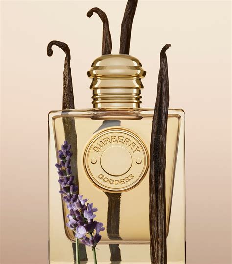 chogan parfum burberry|burberry goddess for women.